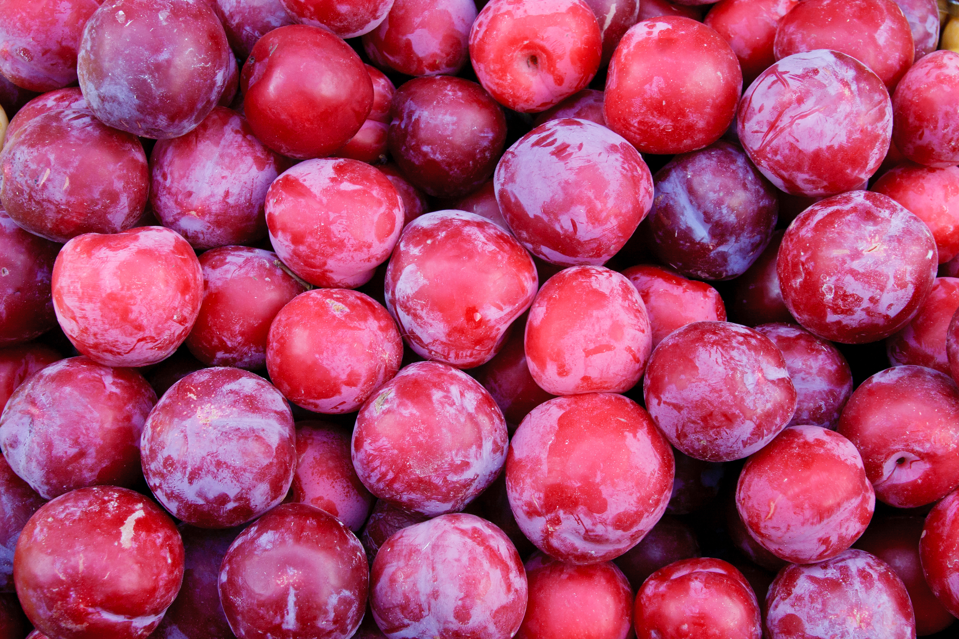 Plum-Compote-Plums