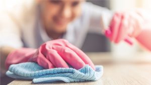 Priced-Right-Thanksgiving-Cleaning-Tips