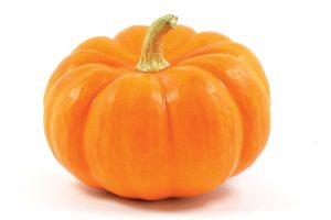 pumpkin