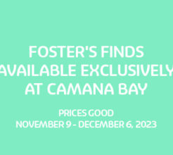 Foster's Finds image
